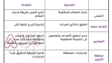 ما هو مفهوم الفاعلية؟