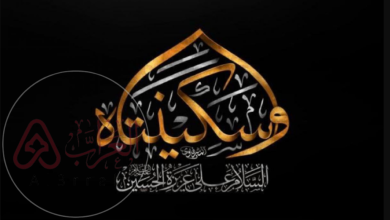 متى وفاة السيدة سكينة واهم المعلومات عنها