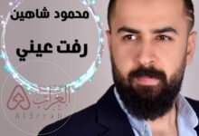 محمود شاهين ويكيبيديا السيرة الذاتية