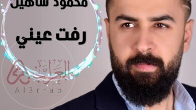 محمود شاهين ويكيبيديا السيرة الذاتية