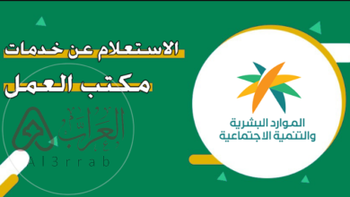 كيفية الاستعلام عن خدمات مكتب العمل 1446