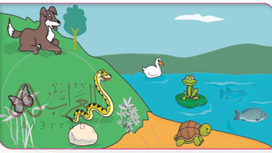 لاستمرار عيش كائن حي في بيئة معينة لا بد أن يتكيف مع الظروف المميزة لهذه البيئة.