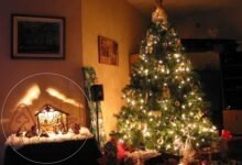 لماذا حرم الله شجرة الكريسماس؟