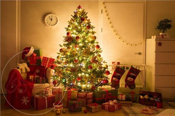 هل التصوير بجانب شجرة الكريسماس حرام؟