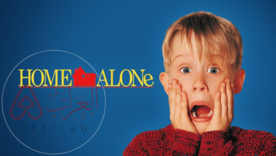 فيلم home alone 3 ويكيبيديا