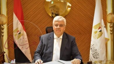عبدالعزيز قنصوة.. السيرة الكاملة لوزير التعليم العالي في مصر