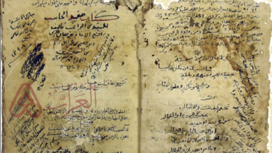 كاتب ومؤرخ يمني من مؤلفاته الفضل المزيد على بغية المستفيد في تاريخ زبيد .. من هو