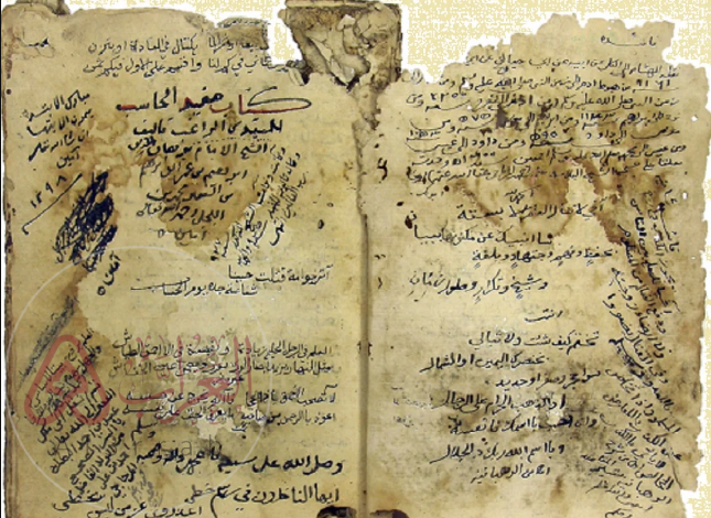 كاتب ومؤرخ يمني من مؤلفاته الفضل المزيد على بغية المستفيد في تاريخ زبيد .. من هو