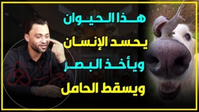 من هو الحيوان الذي يحسد الإنسان ويأخذ البصر ويسقط المرأة الحامل‼😳