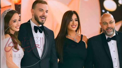 نور تامر أمين: السيرة الكاملة وسبب شهرتها وزواجها السابق من عمرو الليثي