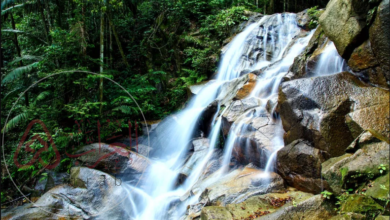 السبخات مناطق بيئية تندرج تحت الأنظمة البيئة العذبة.