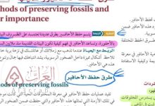 أحافير دهر الحياة الظاهرة هي الأفضل حفظًا.. (شرح علمي مبسط)