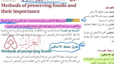 أحافير دهر الحياة الظاهرة هي الأفضل حفظًا.. (شرح علمي مبسط)