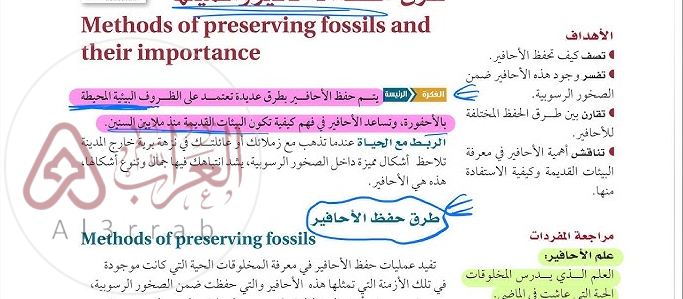 أحافير دهر الحياة الظاهرة هي الأفضل حفظًا.. (شرح علمي مبسط)