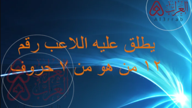 يُطلق عليه اللاعب رقم 12 من 7 حروف.. من هو؟ الإجابة الصحيحة
