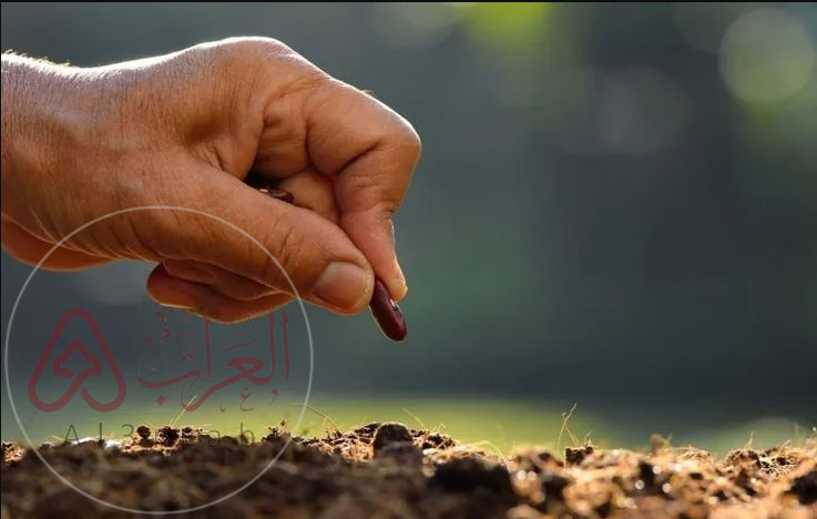 معظم النباتات التي نعرفها عبارة عن نباتات