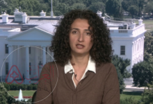 من هي هيام نعواس (Hiam Nawas)؟ القصة الكاملة التي أشعلت محركات البحث