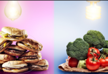 هل العلاقة طردية بين كمية غذاء الإنسان وكمية الطاقة التي يحتاجها؟ شرح علمي مبسط