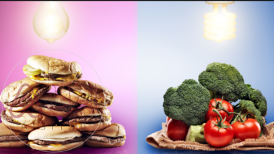 هل العلاقة طردية بين كمية غذاء الإنسان وكمية الطاقة التي يحتاجها؟ شرح علمي مبسط