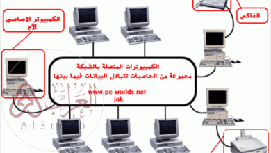 يطلق على مجموعة الحاسبات التي يتم ربطها مع بعضها البعض أو مع أجهزة أخرى كالطابعات