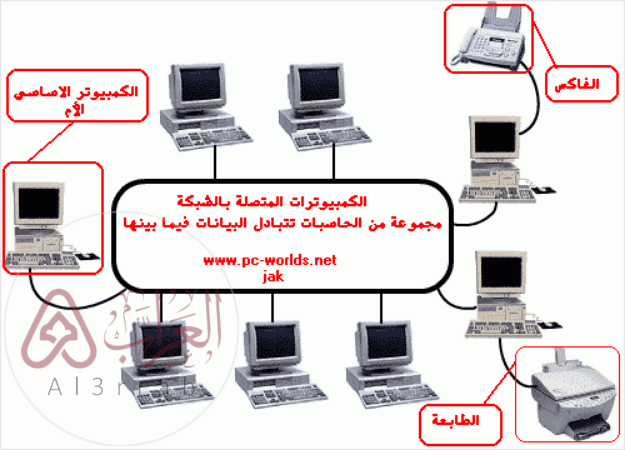 يطلق على مجموعة الحاسبات التي يتم ربطها مع بعضها البعض أو مع أجهزة أخرى كالطابعات