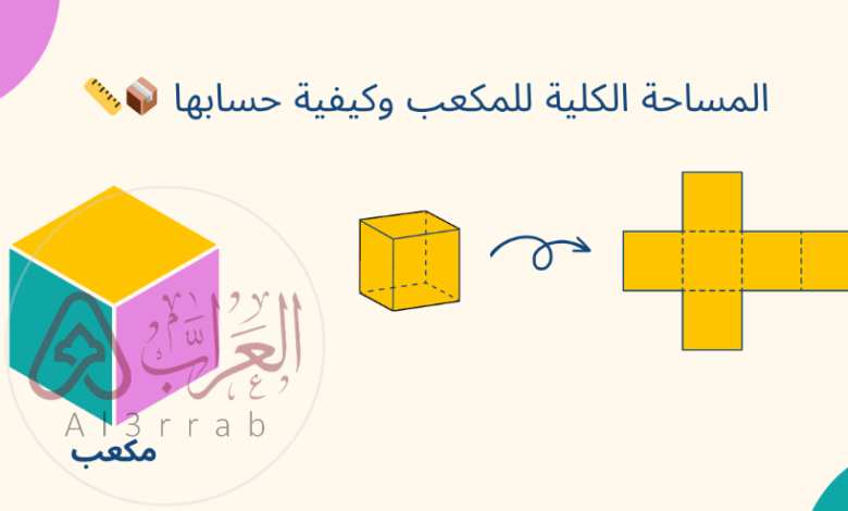 المساحة الكلية لسطح المنشور في الشكل أدناه تساوي 184 ملم2 . صواب خطأ